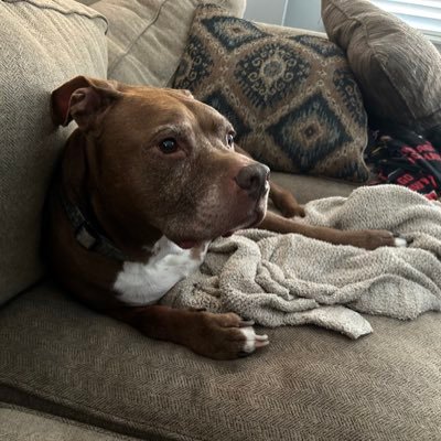 MamaRash315's profile picture. 🎶just a small town girl..🎶 Jesus is King✝️ awake not woke 😳 Go Cubs Go⚾️