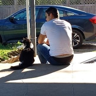 guytgrimaldi's profile picture. 