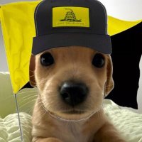 DroL (@drolbomb) 's Twitter Profile