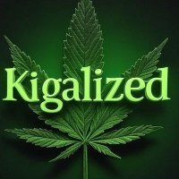 Kigalized (@kigalized) 's Twitter Profile