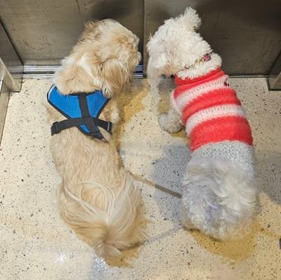 Naamahh1's profile picture. שמאל = ערכים שאינם לשימוש עצמי.
אל תהיו שמאל. אחרת תהיו סמול.