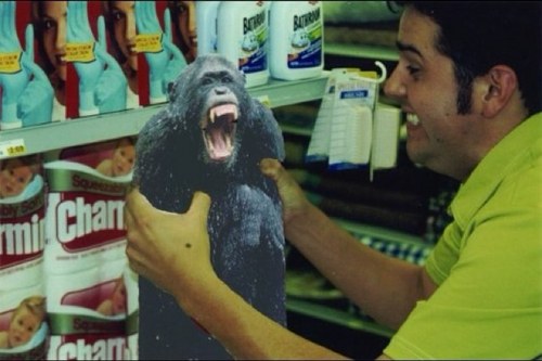 Monkeydumb's profile picture. 