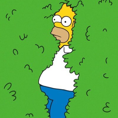 ynukichee's profile picture. 