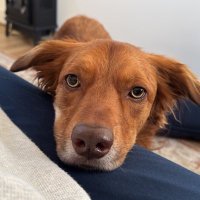 SDL (@sdl31adams) 's Twitter Profile