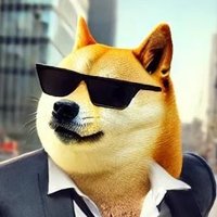 The Doge Effect (@dogeeffect) 's Twitter Profile