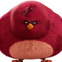 Dxviid7x (@dxviid7x) 's Twitter Profile