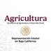Representación de @Agricultura_mex Baja California (@agricultura_bc) Twitter profile photo Representación de @Agricultura_mex Baja California (@agricultura_bc) Twitter profile photo