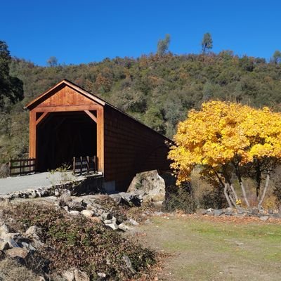 BestWalletUser's profile picture. 