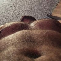 OsLe (@osirisl3on) 's Twitter Profile