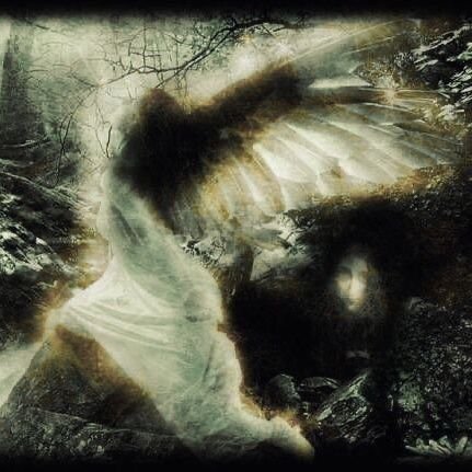 shutupflower's profile picture. 