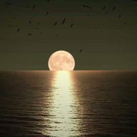 Özyar Sarıoğlu (@sariogluozyar) Twitter profile photo
