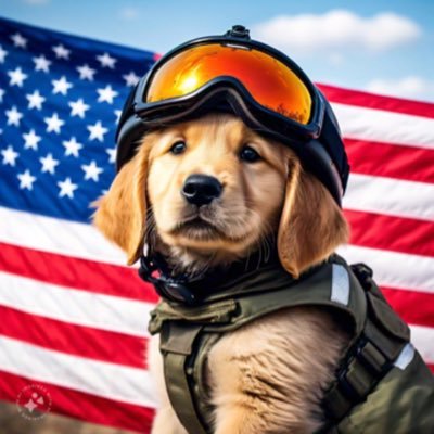 bighacksy's profile picture. 