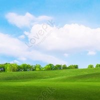 Arvind kumar (@arbindk93537651) 's Twitter Profile Photo Arvind kumar (@arbindk93537651) 's Twitter Profile Photo