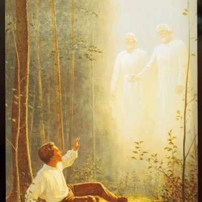 Faithful, charismatic, born again, latter-day Saint. The hobbies I love the most are reading to my children attending the Temple with my wife.