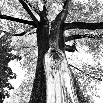 yaboobie18's profile picture. A dead spy