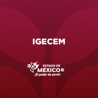 IGECEM (@igecem) 's Twitter Profile