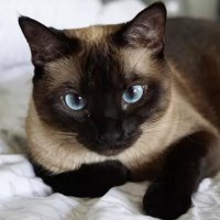 Debbe McCall (@debbemccall) 's Twitter Profile Photo Debbe McCall (@debbemccall) 's Twitter Profile Photo