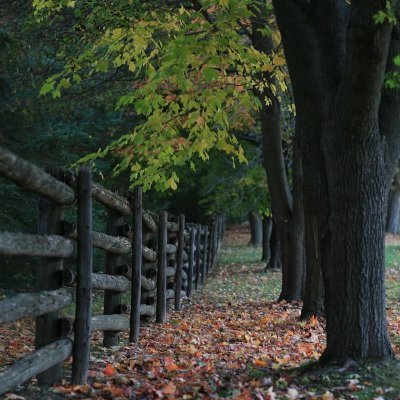 nature_gilde's profile picture. Entrepreneur at heart, strategist by skill, and dedicated to turning big ideas into even bigger realities