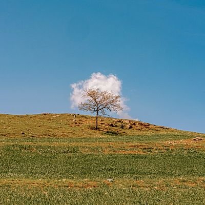 ofgenerationZ's profile picture. انسان، دشواری وظیفه است.