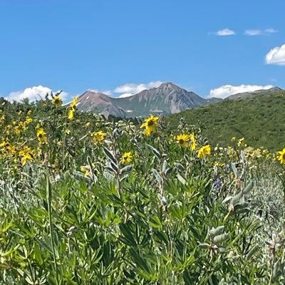 mtbakes's profile picture. I only have a twitter account because I like to have the inside scoop on sports news.