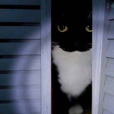 pantostado3333's profile picture. 