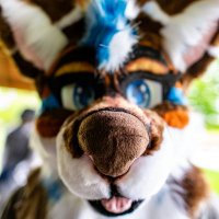 Dasir (@dasir6965251) 's Twitter Profile Photo Dasir (@dasir6965251) 's Twitter Profile Photo