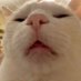 Nyehnyeh (@eywan2214) Twitter profile photo Nyehnyeh (@eywan2214) Twitter profile photo