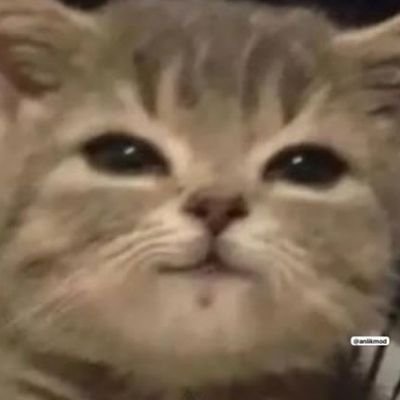 nazlinova's profile picture. yarım hemşire
