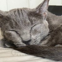 rowan11 (@rowan200010) 's Twitter Profile