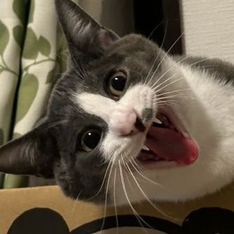 sDjeIiG1aCj74pW's profile picture. 2024年7月から22年ぶりにプラモデルに手を出してリハビリ中のオッサンです。
ガンプラ少々、美プラ多め、シリーズに拘らず自分が作りたいと思った物を作ってます。
ガンプラマーカーエアブラシでの塗装がメインですが美プラを綺麗に塗装したくて最近エアブラシを購入、塗装の勉強中。
基本無言でフォローします。