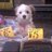 YarmouthMarket's profile image