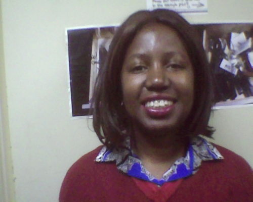 Visual Artist,Cleaning Ambassador for Block By Block , Member: Middle Collegiate Church