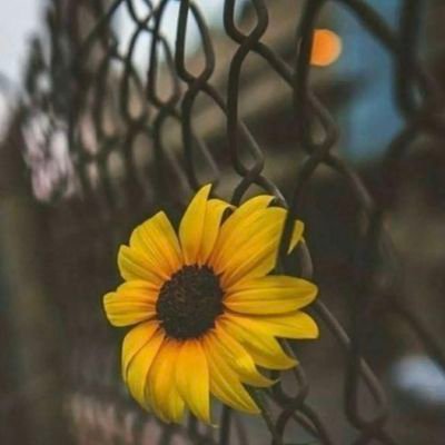 alhrby7618's profile picture. 