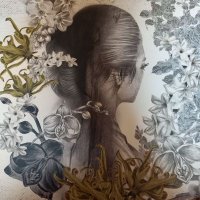 Pamer Koleksi (@pamerkoleksi) 's Twitter Profile Photo