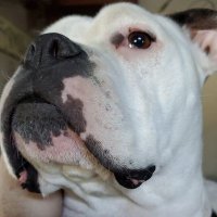 John Shackleford (@rusty_medic2) 's Twitter Profile