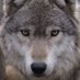 David (@david743061851) Twitter profile photo David (@david743061851) Twitter profile photo