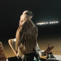 عبدالله عوده الظفيري (@abdullahalsnhaj) 's Twitter Profile Photo