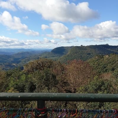 MSantos23856's profile picture.