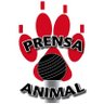prensaanimal4's profile picture. Trabajamos por las causas justas en el cuidado del medio ambiente y la protección a los animales #SomosMasAnimales
