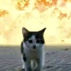 Lanieygr's profile picture. Depressed.