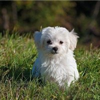 副業で安定した収入を得る方法を紹介中。副業を始めたい人に役立つ情報をお届け。小規模ですが現金プレゼント企画も実施しております♪ なくなり次第終了⇒ https://t.co/Vc9WViANzk