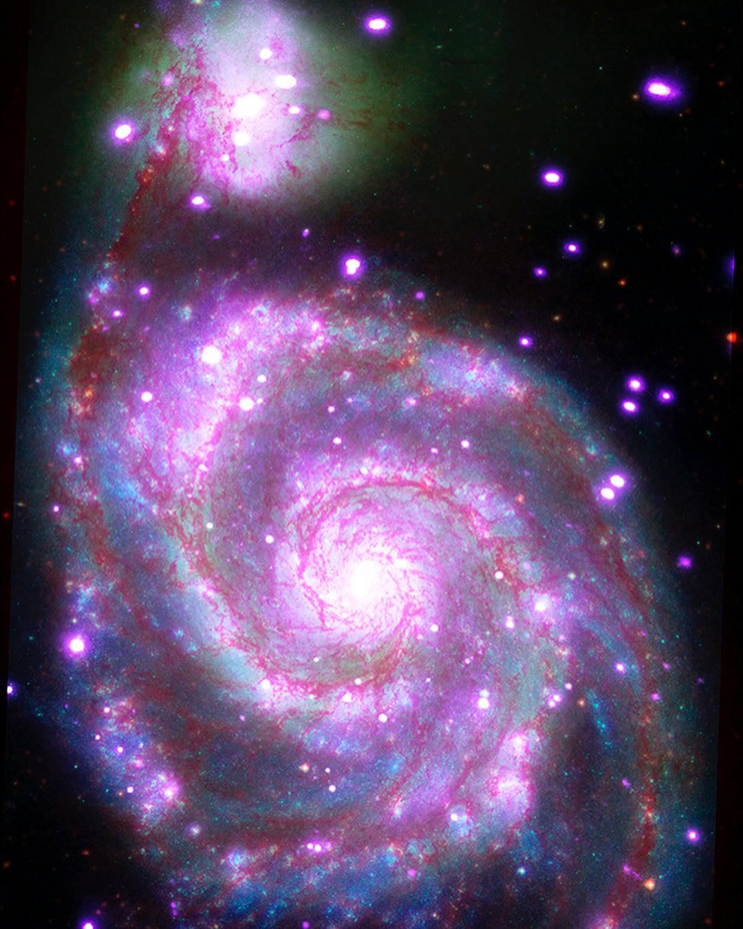 Lorsasliqyf's profile picture. Gods determine what you're going to be。