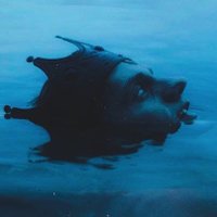 єcσร dσ σяαcυlσ | pjo, hdo & pda (@oraculos_) 's Twitter Profile Photo єcσร dσ σяαcυlσ | pjo, hdo & pda (@oraculos_) 's Twitter Profile Photo