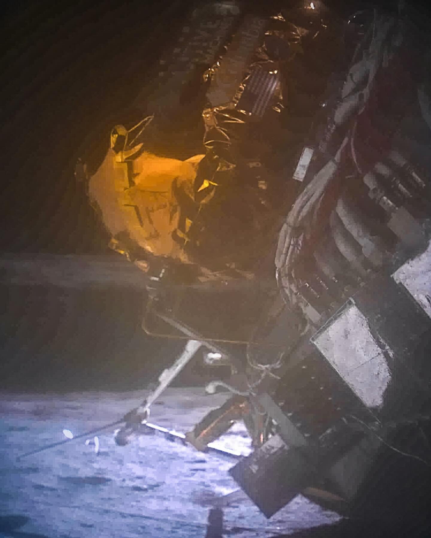 LeasoFk_g's profile picture. Gods determine what you're going to be。