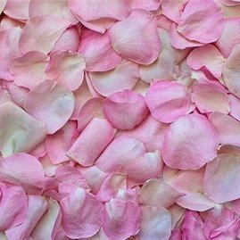 ami19069757647's profile picture. 副業で安定した収入を得る方法を紹介中。副業を始めたい人に有益な情報をお届け。小規模ですがプレゼント企画もしております！ フォロワーさん優先▷ https://t.co/hwXEjVwPAV