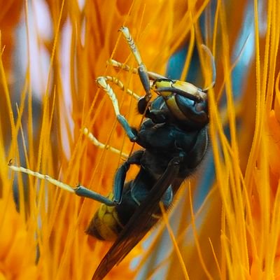 zhangwe32938251's profile picture. love