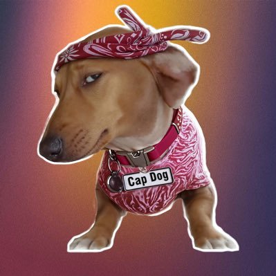 Welcome to Cap Dog Token. A meme token crafted by an honest, intentional & intellectual team. Join our community early for fun and transparency! liquidity burnt