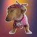 Cap Dog (@capdogtoken) Twitter profile photo Cap Dog (@capdogtoken) Twitter profile photo