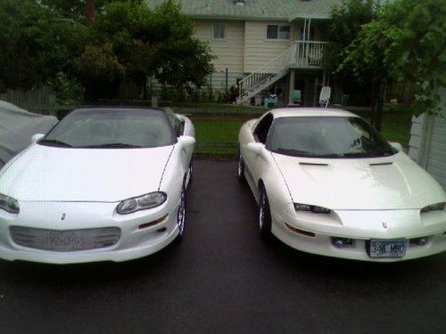 CamaroCarClub's profile picture. Starting this club for people with Chevrolet muscle that wanna drive or talk cars.