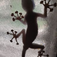 Eran K (@nightgoesonando) 's Twitter Profile Photo Eran K (@nightgoesonando) 's Twitter Profile Photo